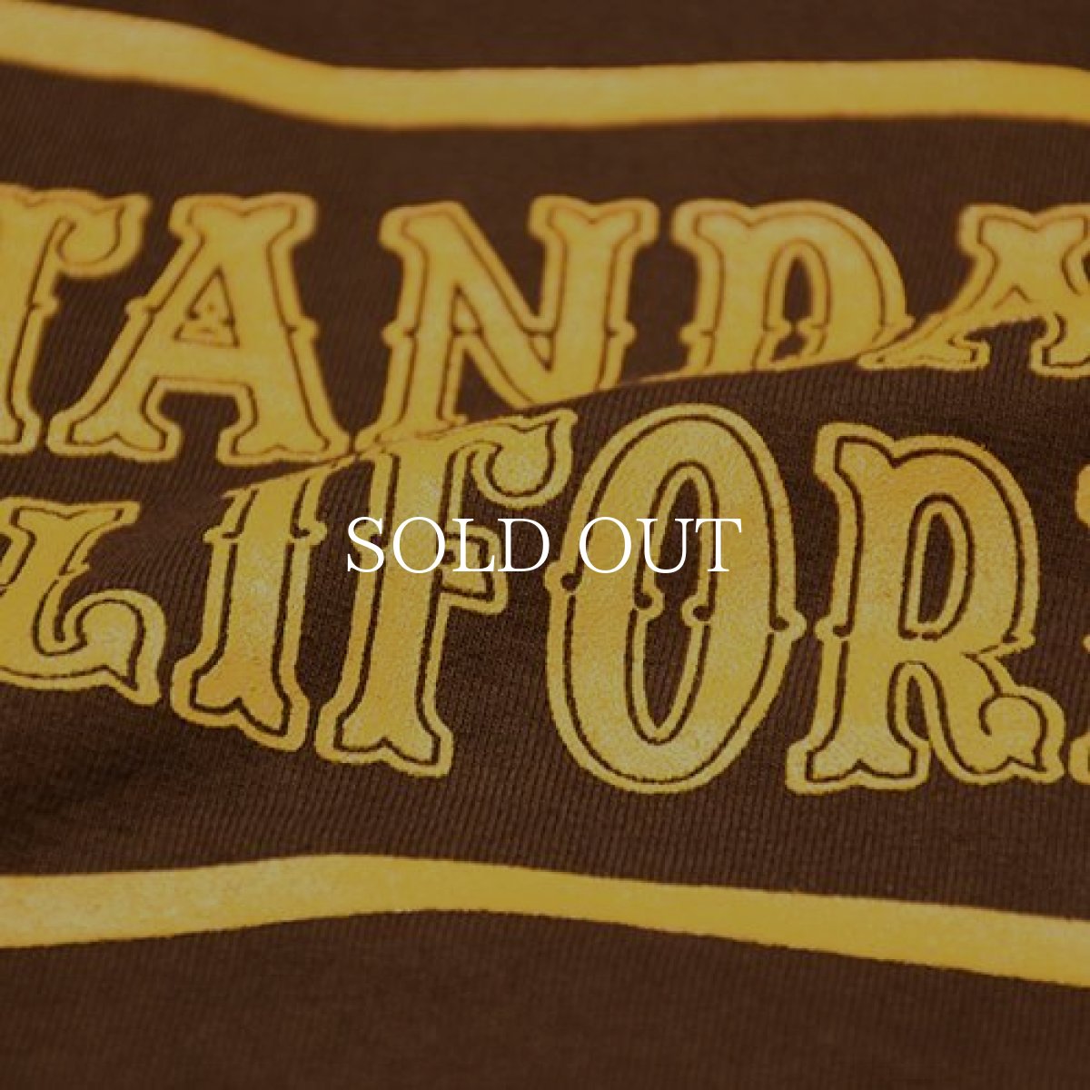 画像8: STANDARD CALIFORNIA  SD Heavyweight Basic Logo T (8)