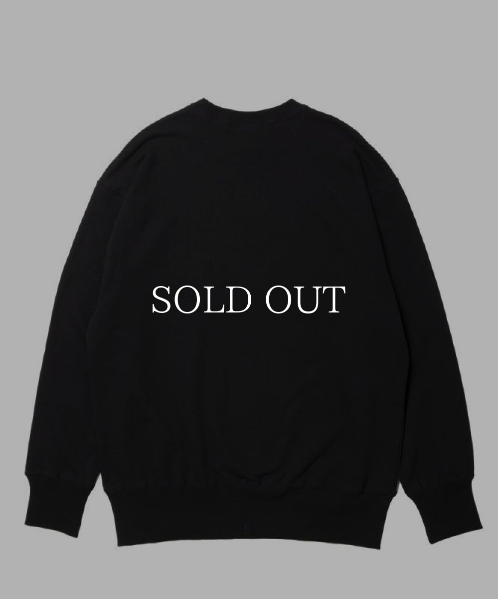 画像2: ROTTWEILER  WALKING DOG SWEATER (2)