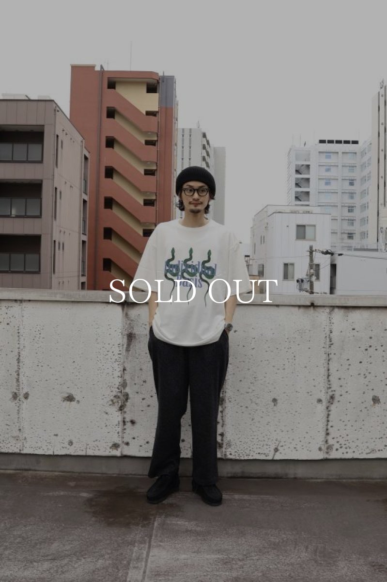 画像6: CALEE  DROP SHOULDER "INDIVIDUAL BASIS" SNAKE LOGO TEE (6)