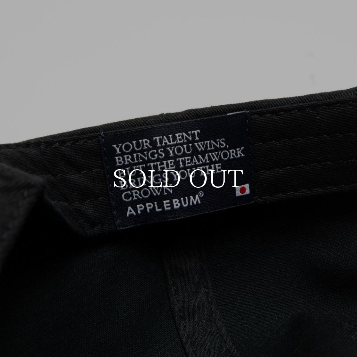 画像14: APPLEBUM  "BUM SHIT" Cap (14)