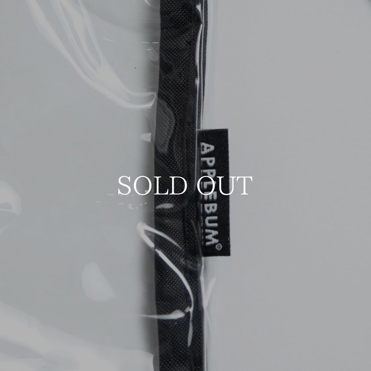 画像3: APPLEBUM  Clear Gymsac (3)