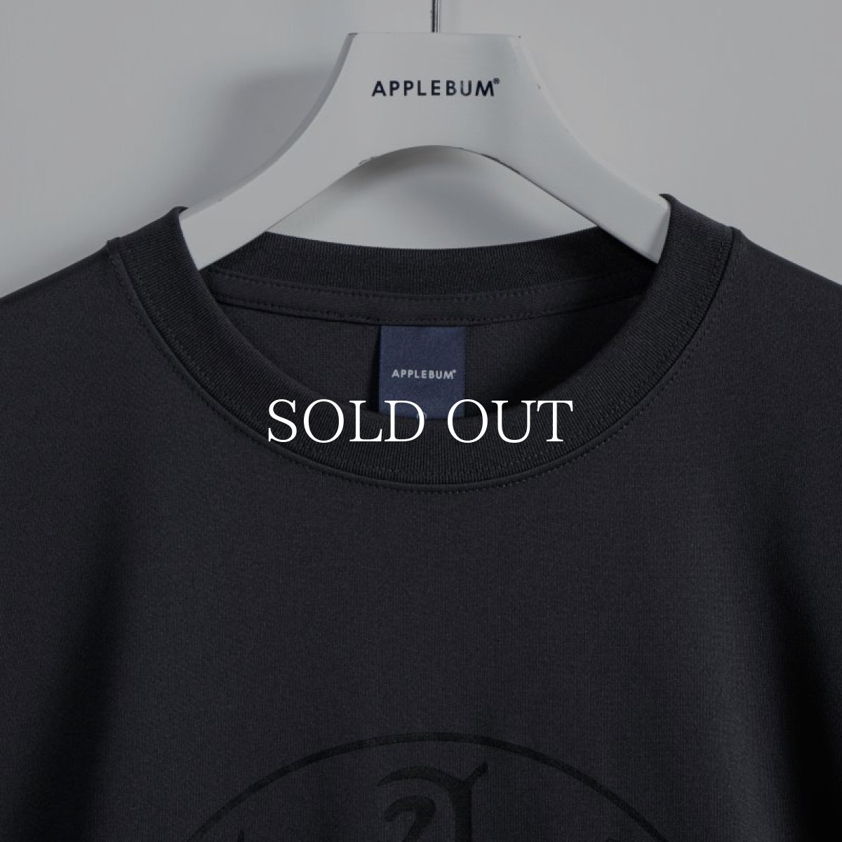 画像18: APPLEBUM  Elite Performance T-shirt (Circle Logo) (18)