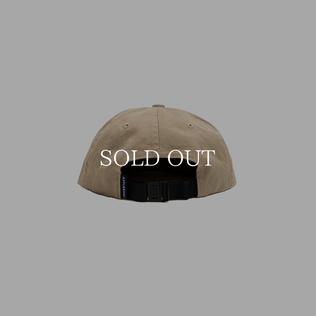 画像5: APPLEBUM  "BUM SHIT" Cap (5)