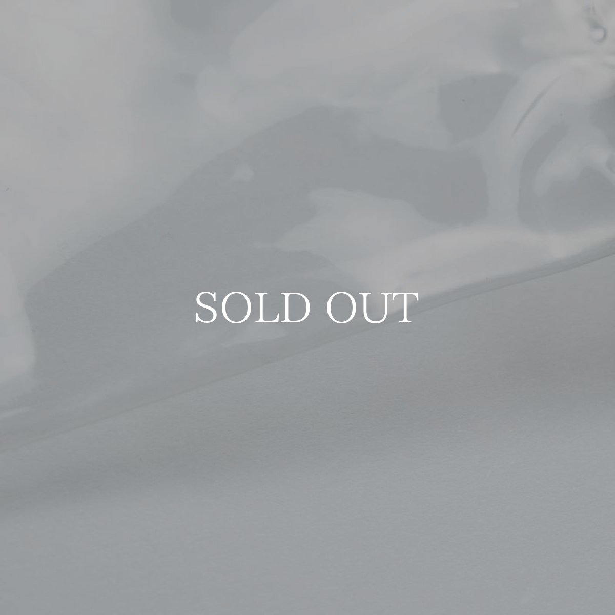 画像4: APPLEBUM  Clear Gymsac (4)