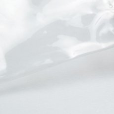 画像4: APPLEBUM  Clear Gymsac (4)
