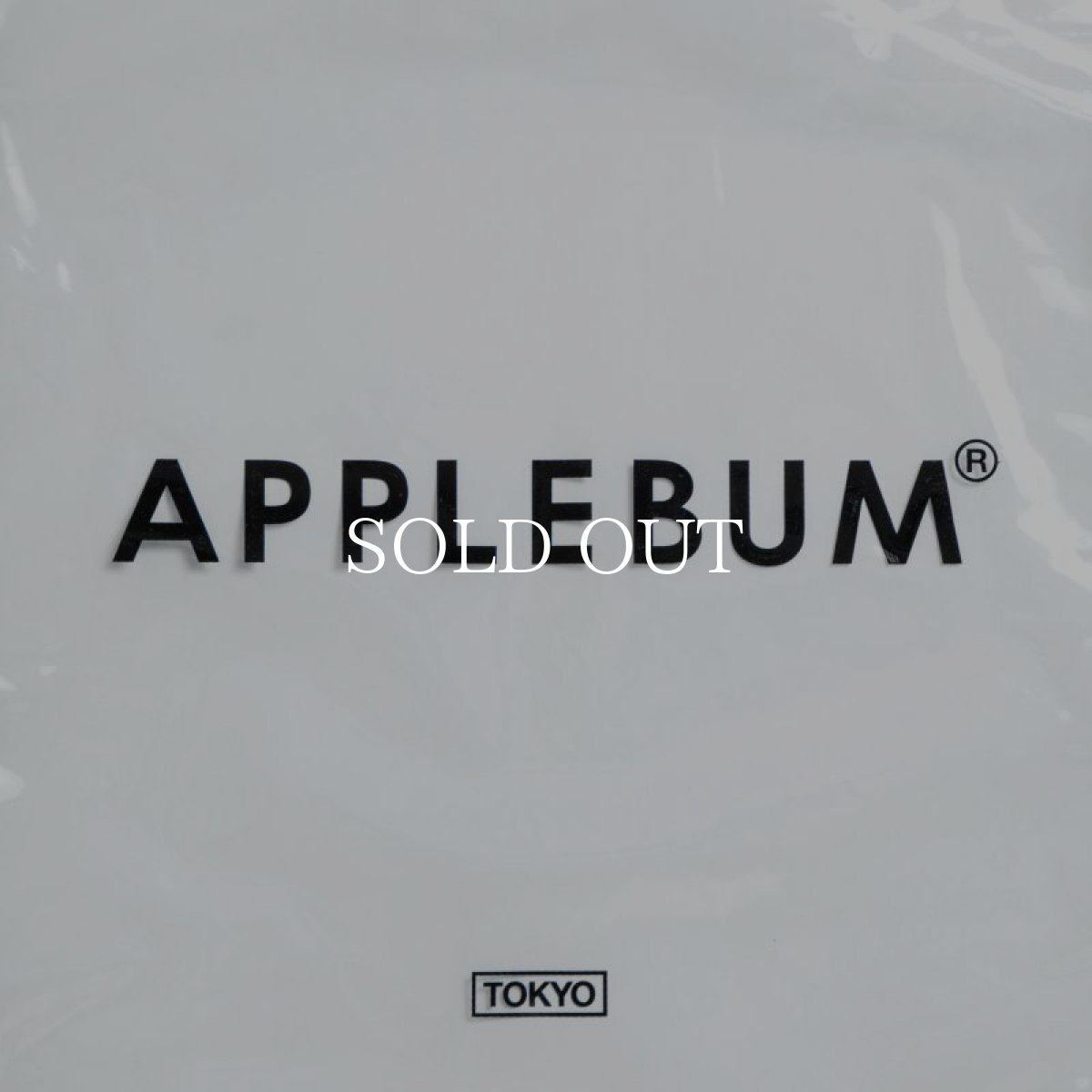 画像2: APPLEBUM  Clear Gymsac (2)