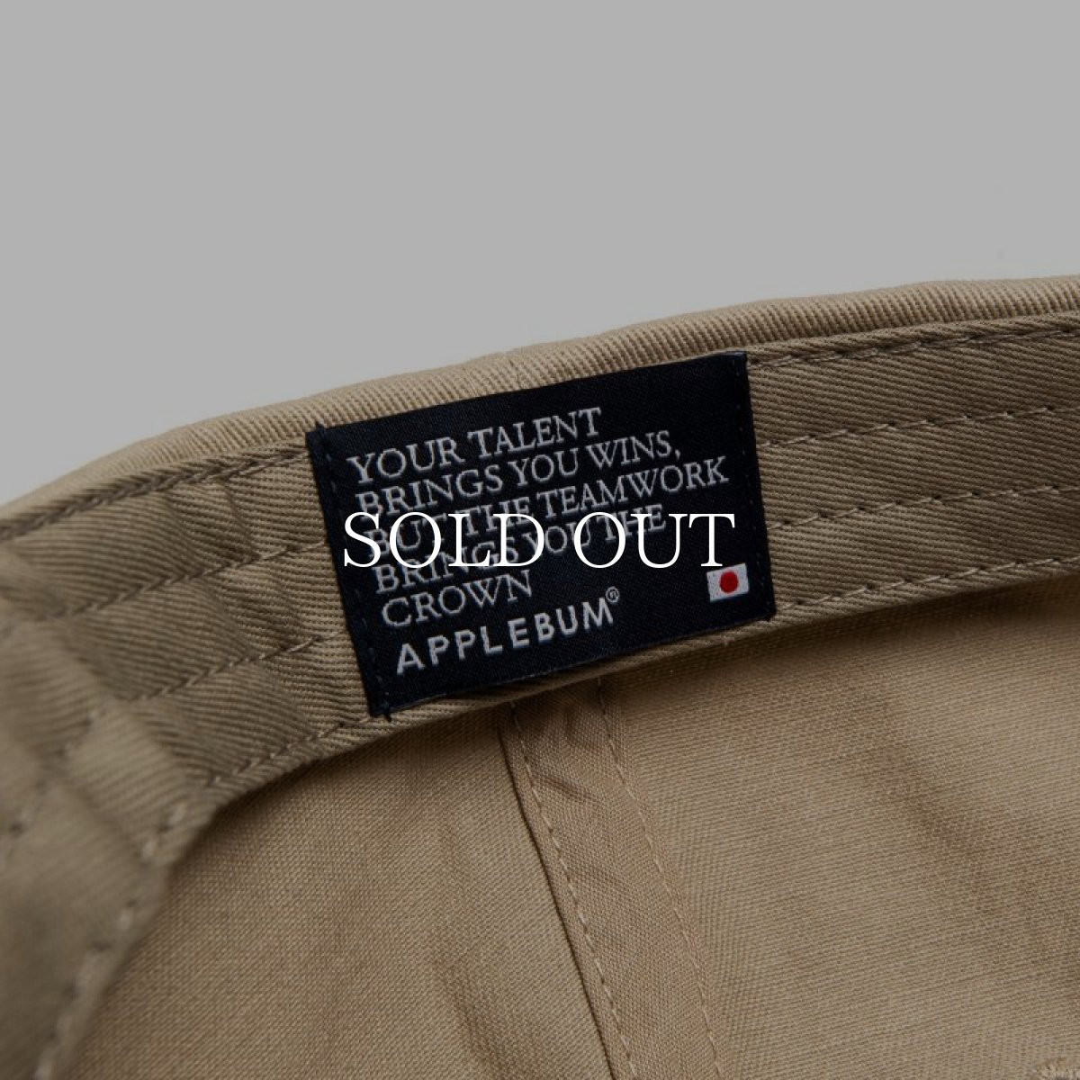 画像7: APPLEBUM  "BUM SHIT" Cap (7)