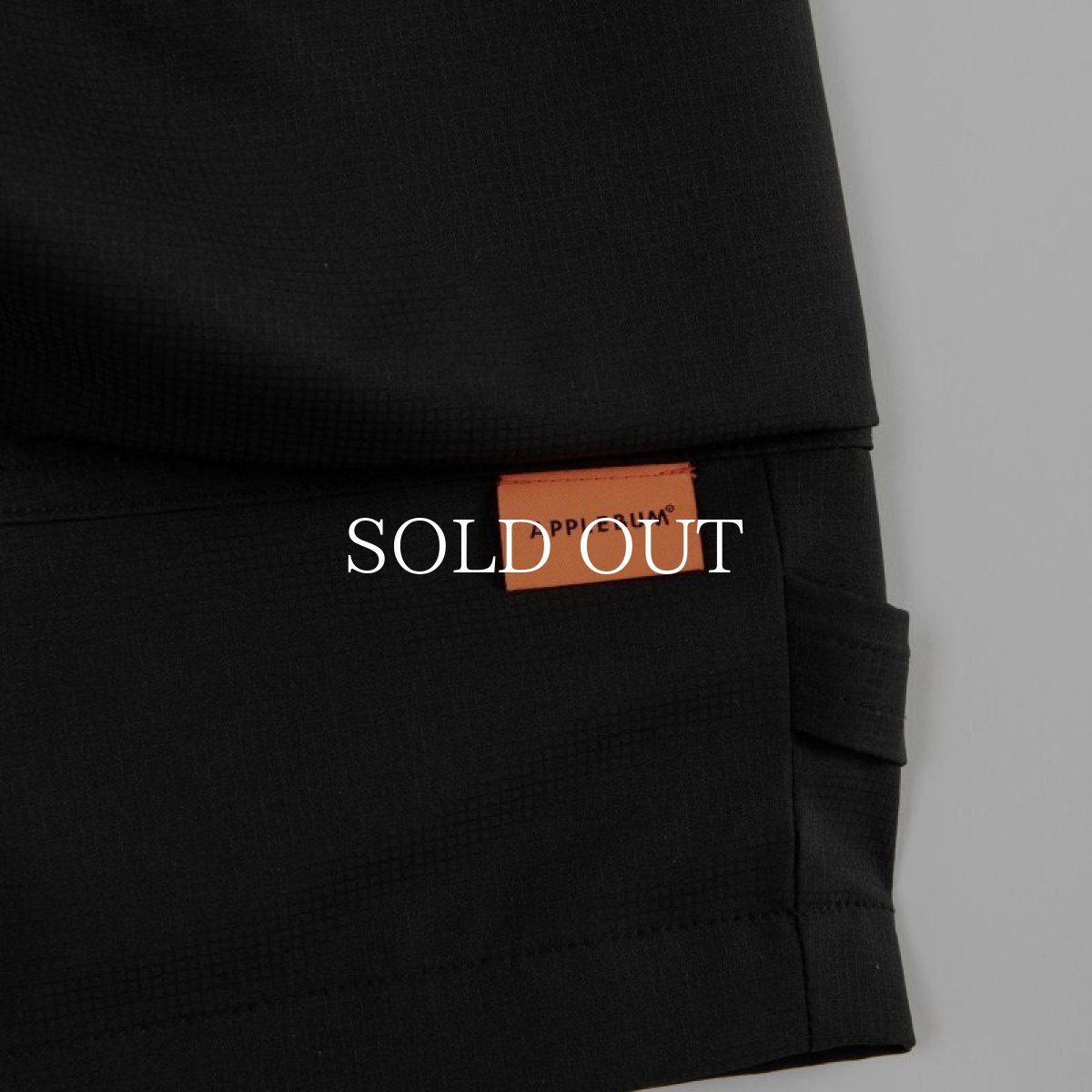 画像6: APPLEBUM  Side Pocket Active Shorts (6)