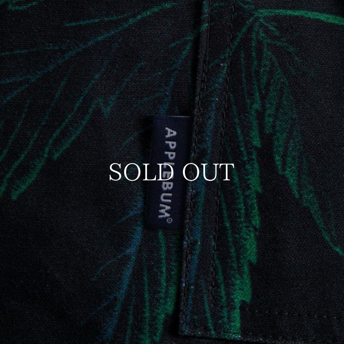 画像5: APPLEBUM  "Sour Diesel" Short Cargo Pants (5)