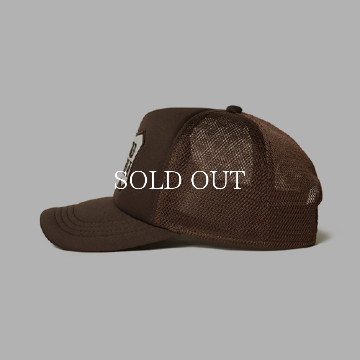 画像4: STANDARD CALIFORNIA  SD Basic Logo Mesh Cap (4)