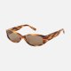 Layer Brown/Brown__SLayer__