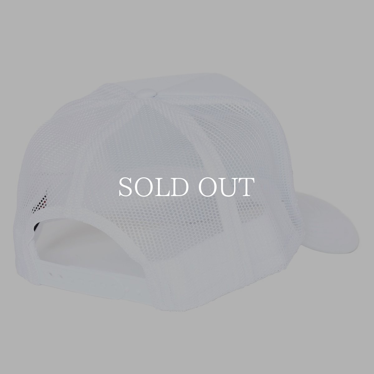 画像10: PORKCHOP GARAGE SUPPLY  CHOP YOUR OWN WOOD CAP (10)