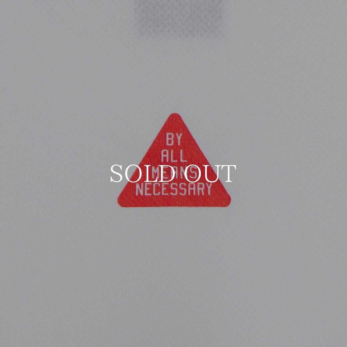 画像7: APPLEBUM  Elite Performance T-shirt (Earth Ball) (7)