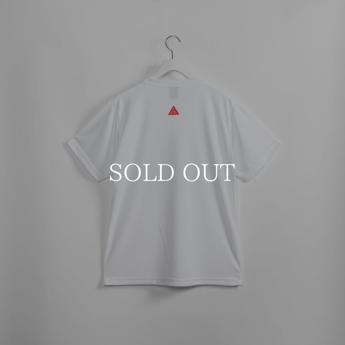 画像3: APPLEBUM  Elite Performance T-shirt (Earth Ball) (3)