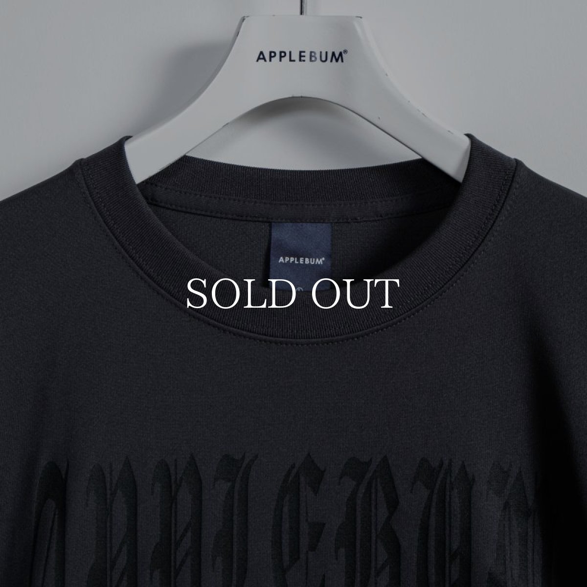 画像11: APPLEBUM  Elite Performance T-shirt (Earth Ball) (11)