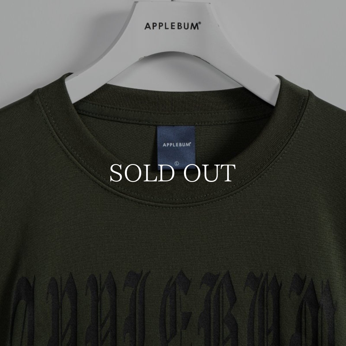 画像18: APPLEBUM  Elite Performance T-shirt (Earth Ball) (18)