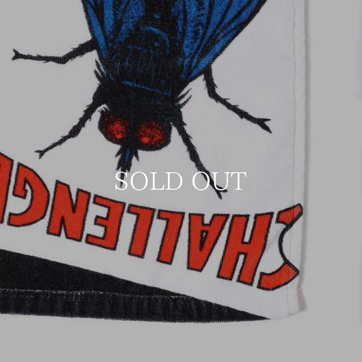 画像2: CHALLENGER  FLY TOWEL (BEACH) (2)