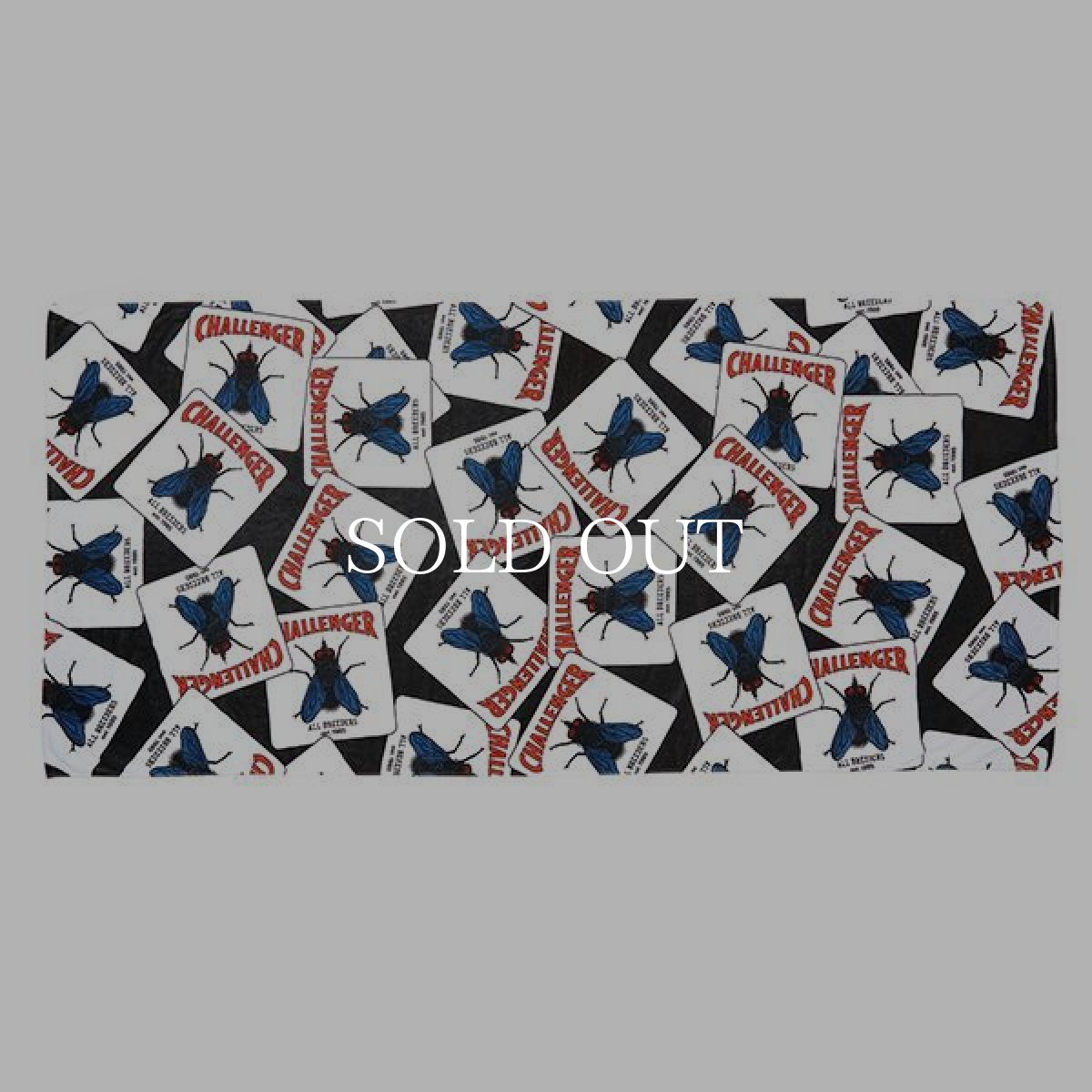 画像1: CHALLENGER  FLY TOWEL (BEACH) (1)