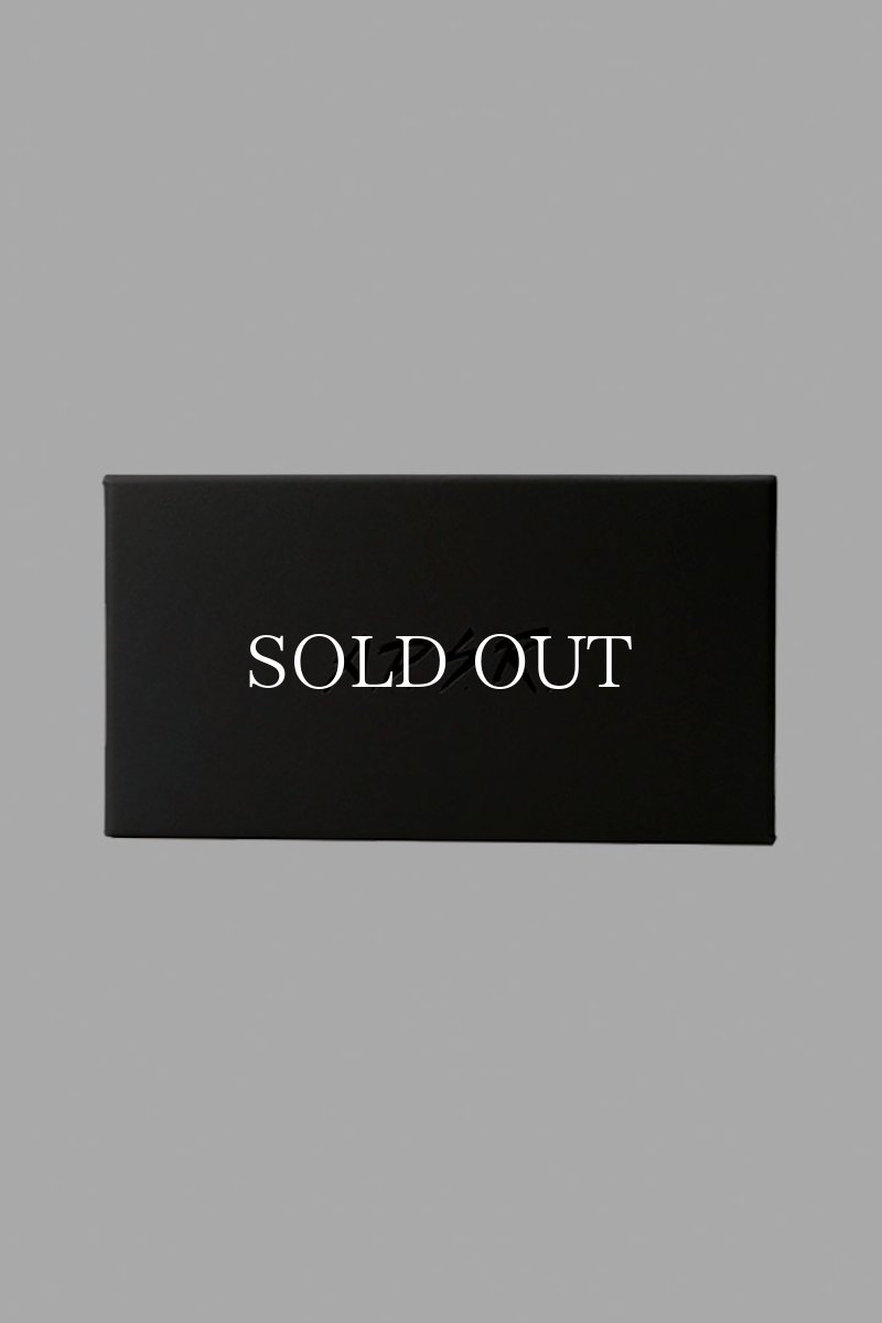 画像5: A.D.S.R.  REICH 09 (5)