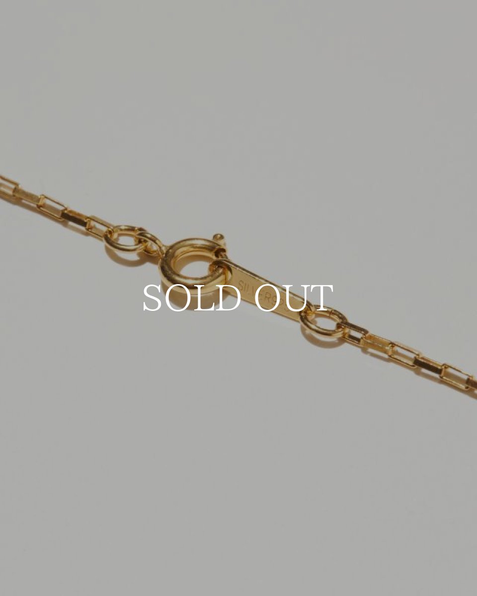 画像6: RADIALL  RUM VANDAL - NECKLACE (6)