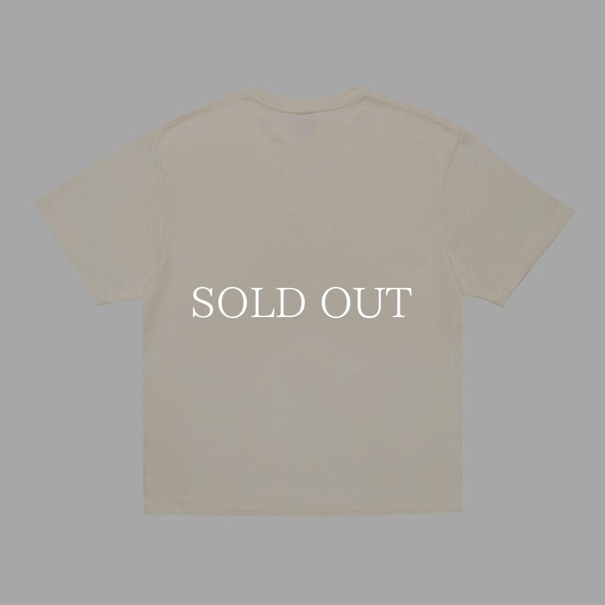 画像2: APPLEBUM  "Sounds of Rainbow" T-shirt (2)