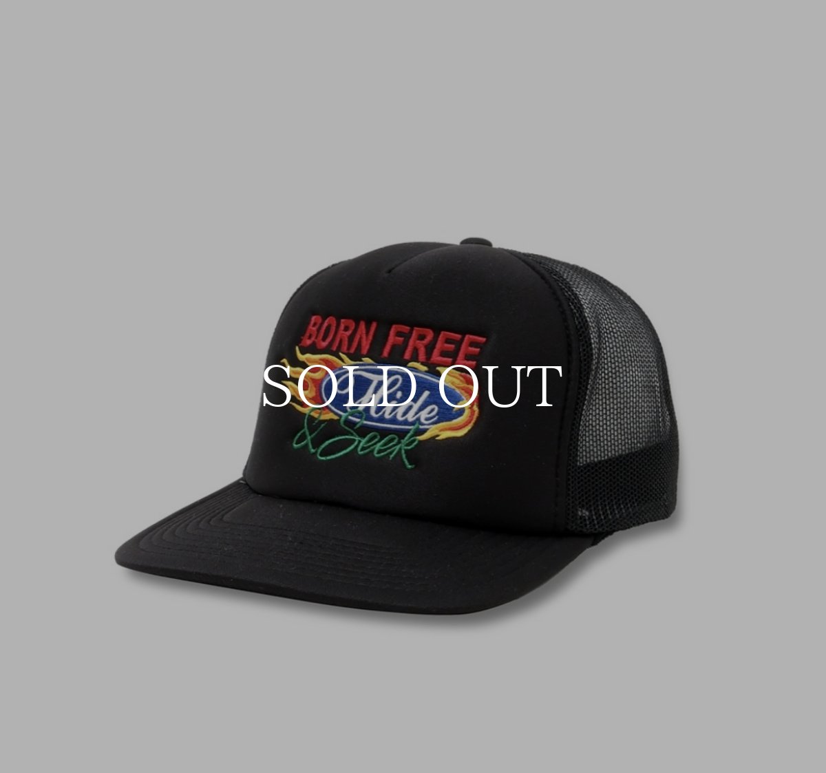 画像1: HideandSeek  Racing Mesh CAP (1)