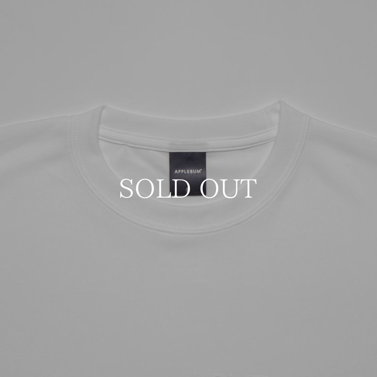 画像9: APPLEBUM  “LOVE & UNDERSTANDING” Elite Performance T-shirt (9)