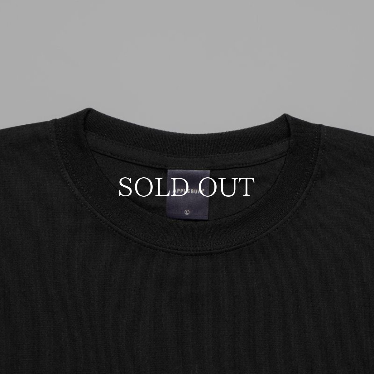 画像3: APPLEBUM  “LOVE & UNDERSTANDING” Elite Performance T-shirt (3)