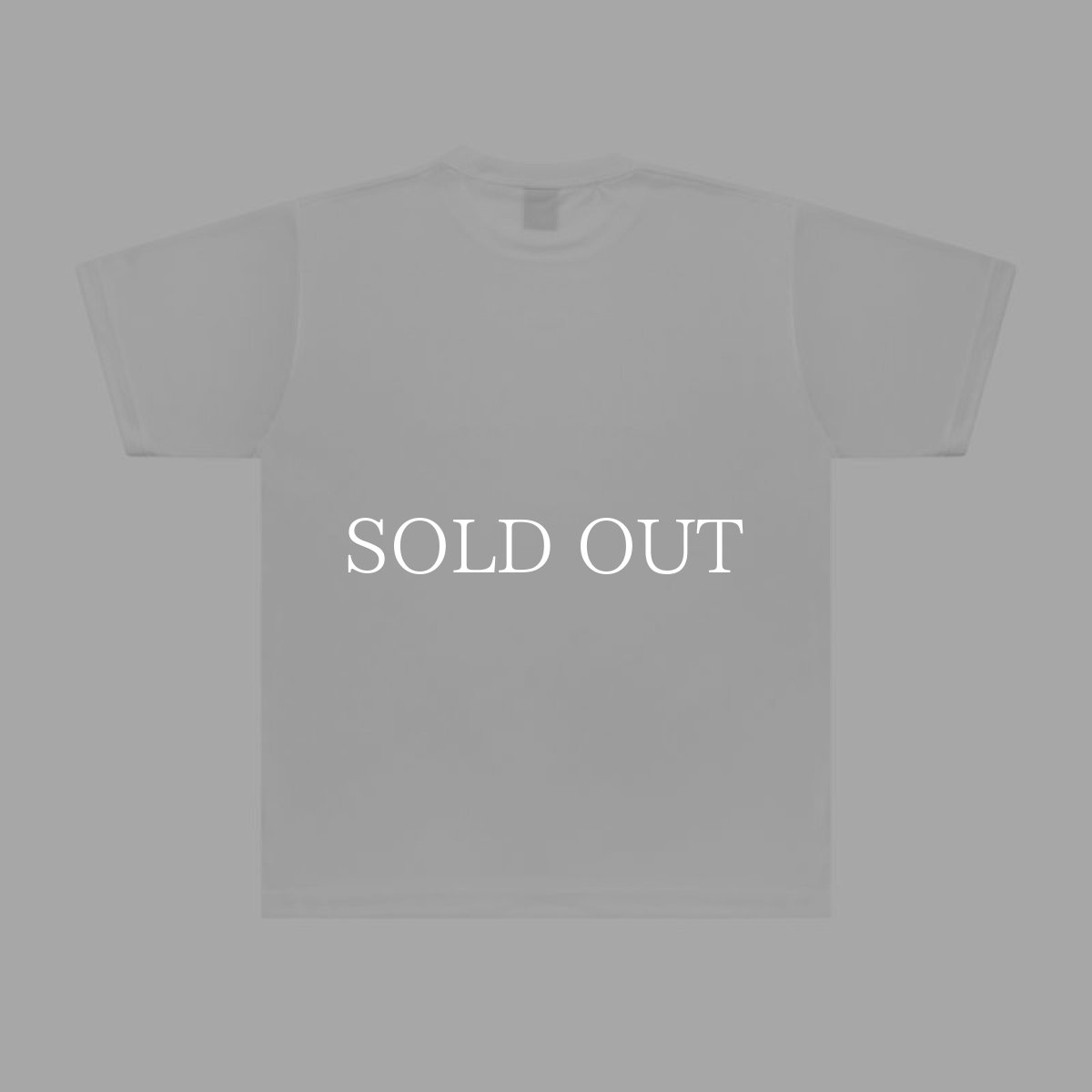 画像8: APPLEBUM  “LOVE & UNDERSTANDING” Elite Performance T-shirt (8)