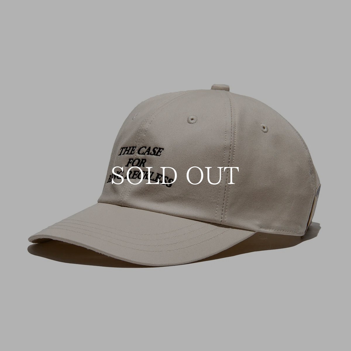 画像6: THE H.W.DOG&CO.  DISTORTION WASH UNION CAP (6)