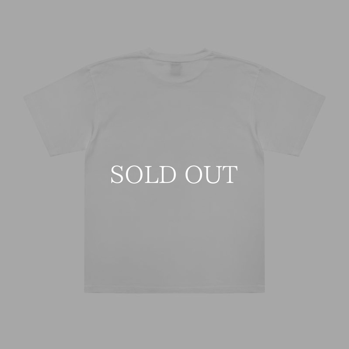 画像2: APPLEBUM  "Stunts, Blunts & Hip Hop" T-shirt (2)