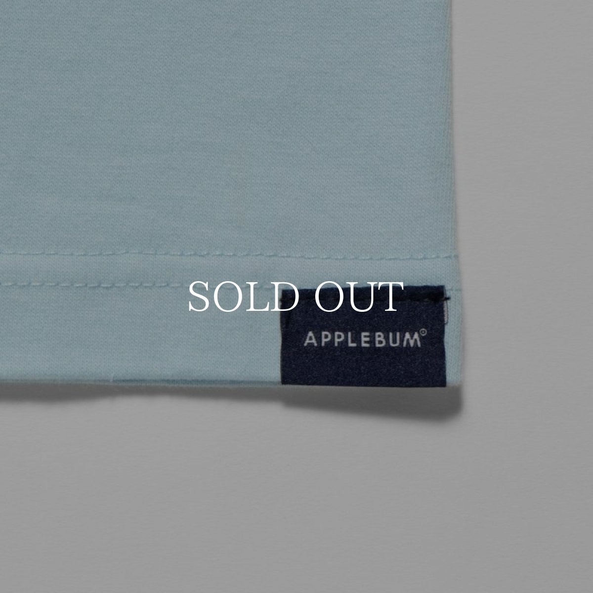 画像20: APPLEBUM  "Stunts, Blunts & Hip Hop" T-shirt (20)