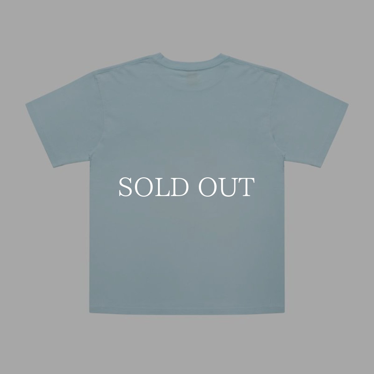 画像16: APPLEBUM  "Stunts, Blunts & Hip Hop" T-shirt (16)