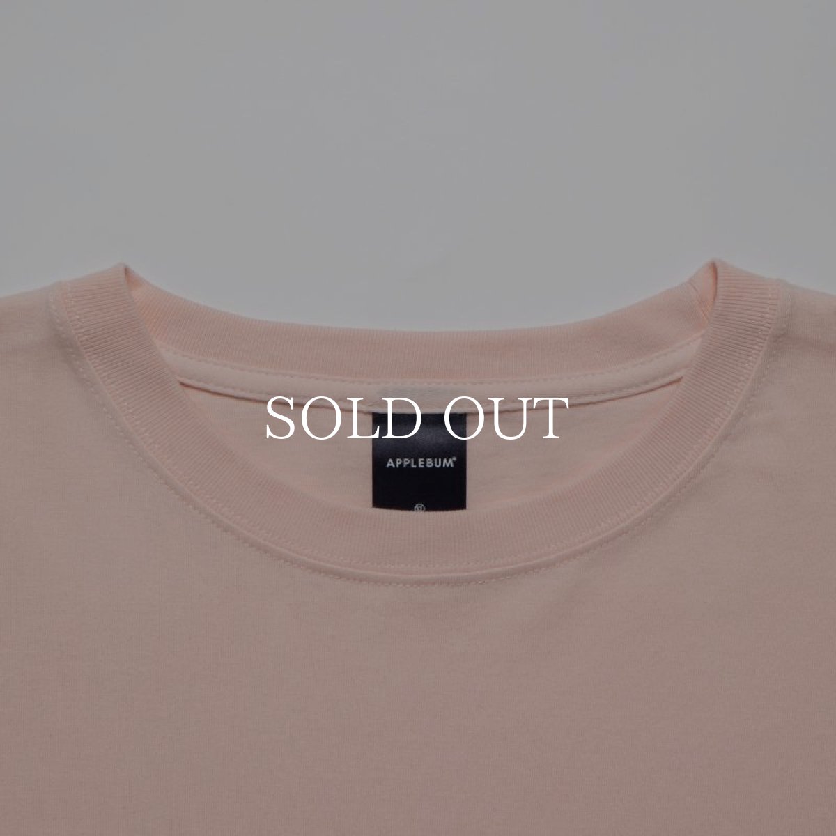 画像10: APPLEBUM  "Stunts, Blunts & Hip Hop" T-shirt (10)