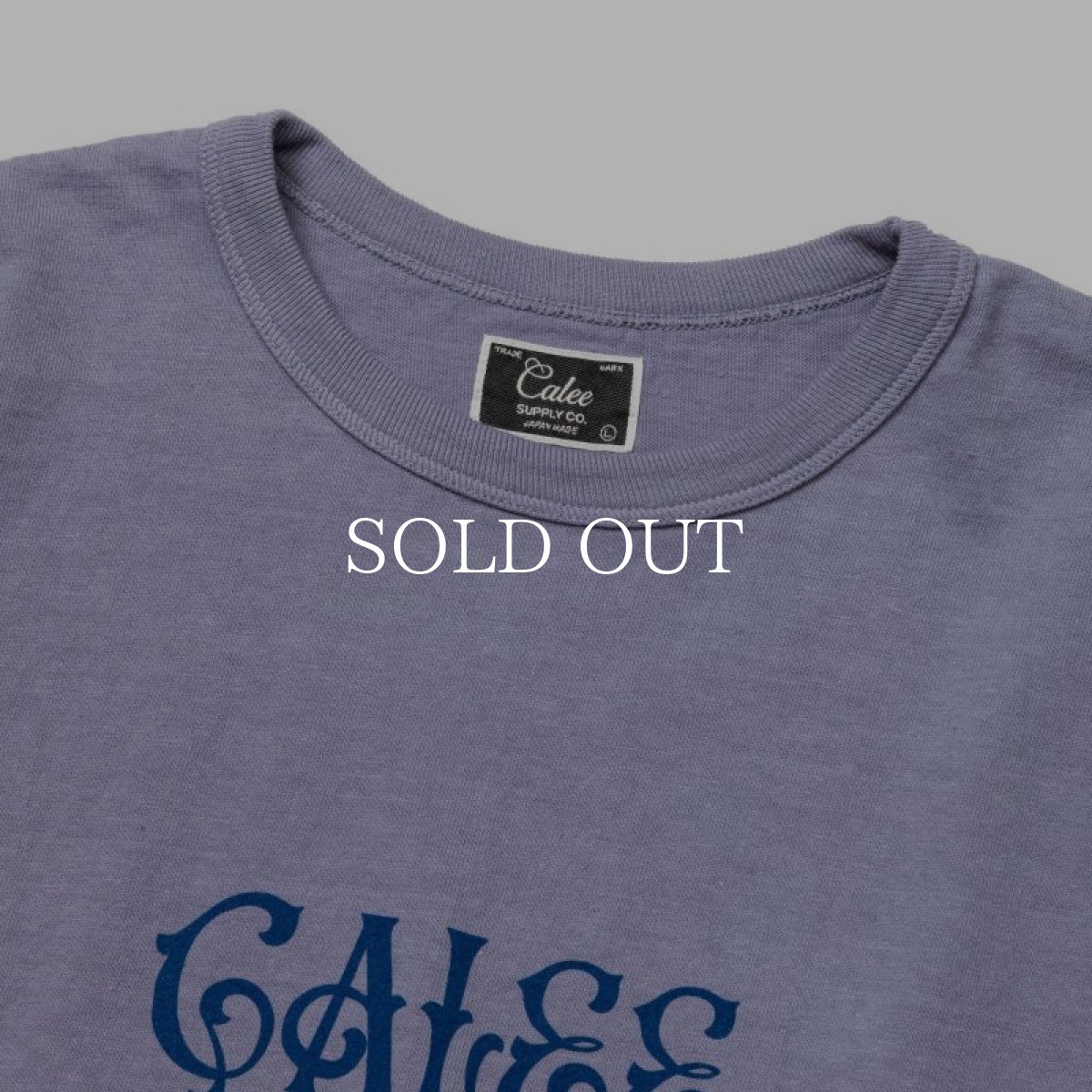 画像9: CALEE  BINDER NECK R&F VINTAGE T-SHIRT ＜NATURALLY PAINT DESIGN＞ (9)