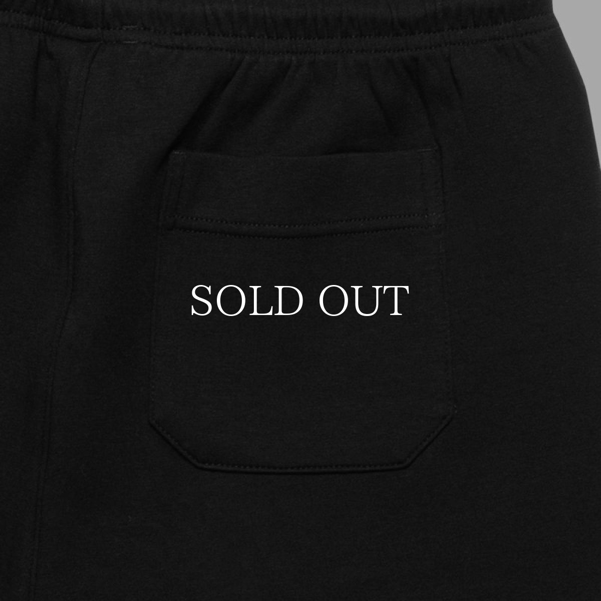 画像7: APPLEBUM  Double Knit Short Pants (7)