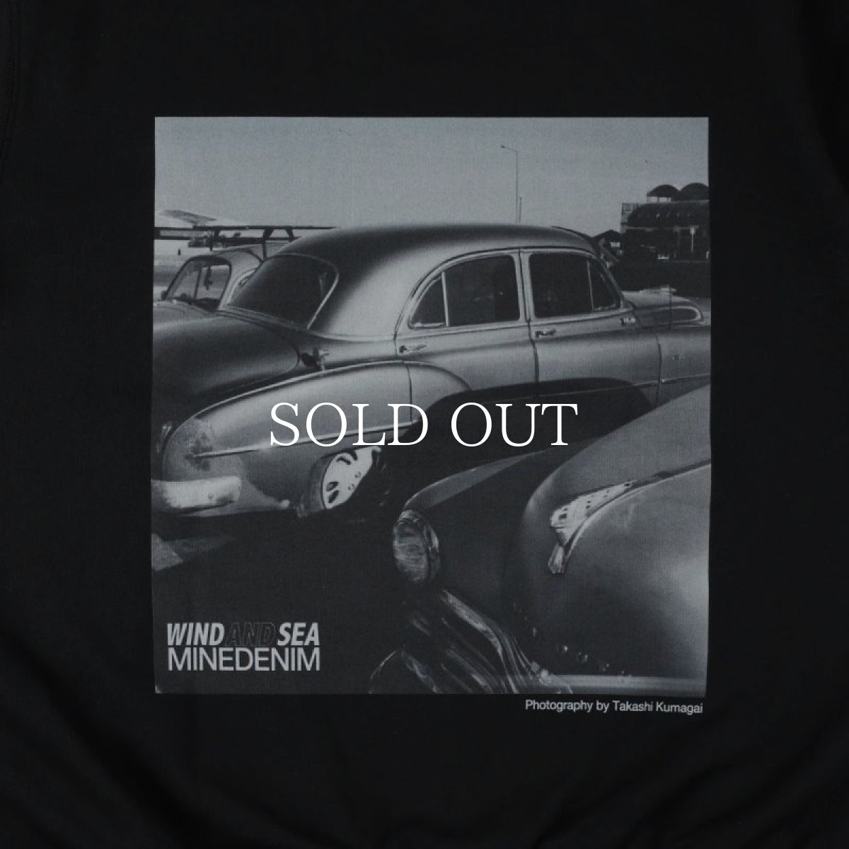 画像4: MINEDENIM  WDS X MINEDENIM PHOTO HOODIE (4)