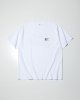 White__SWhite__
