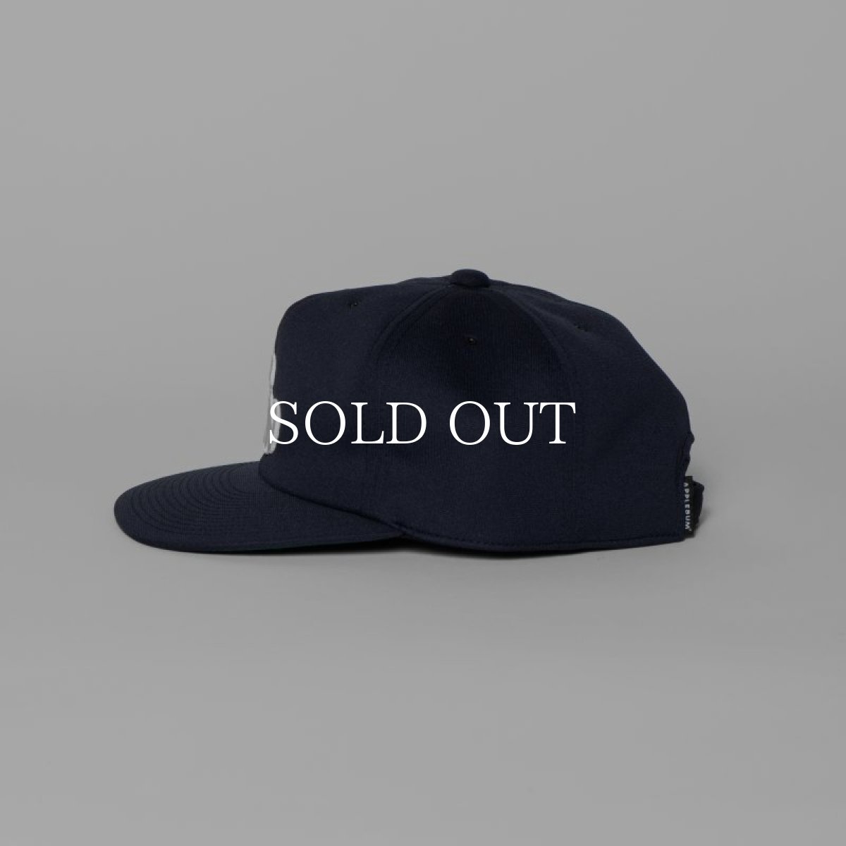 画像3: APPLEBUM  【再生産】"ピエール学園" Baseball Cap (3)