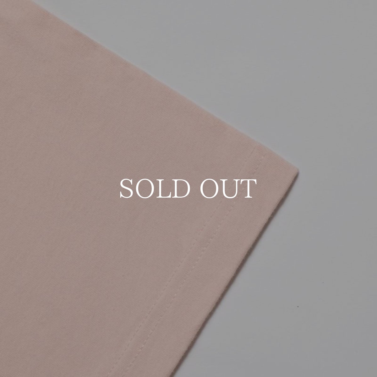 画像13: APPLEBUM  "Stunts, Blunts & Hip Hop" T-shirt (13)