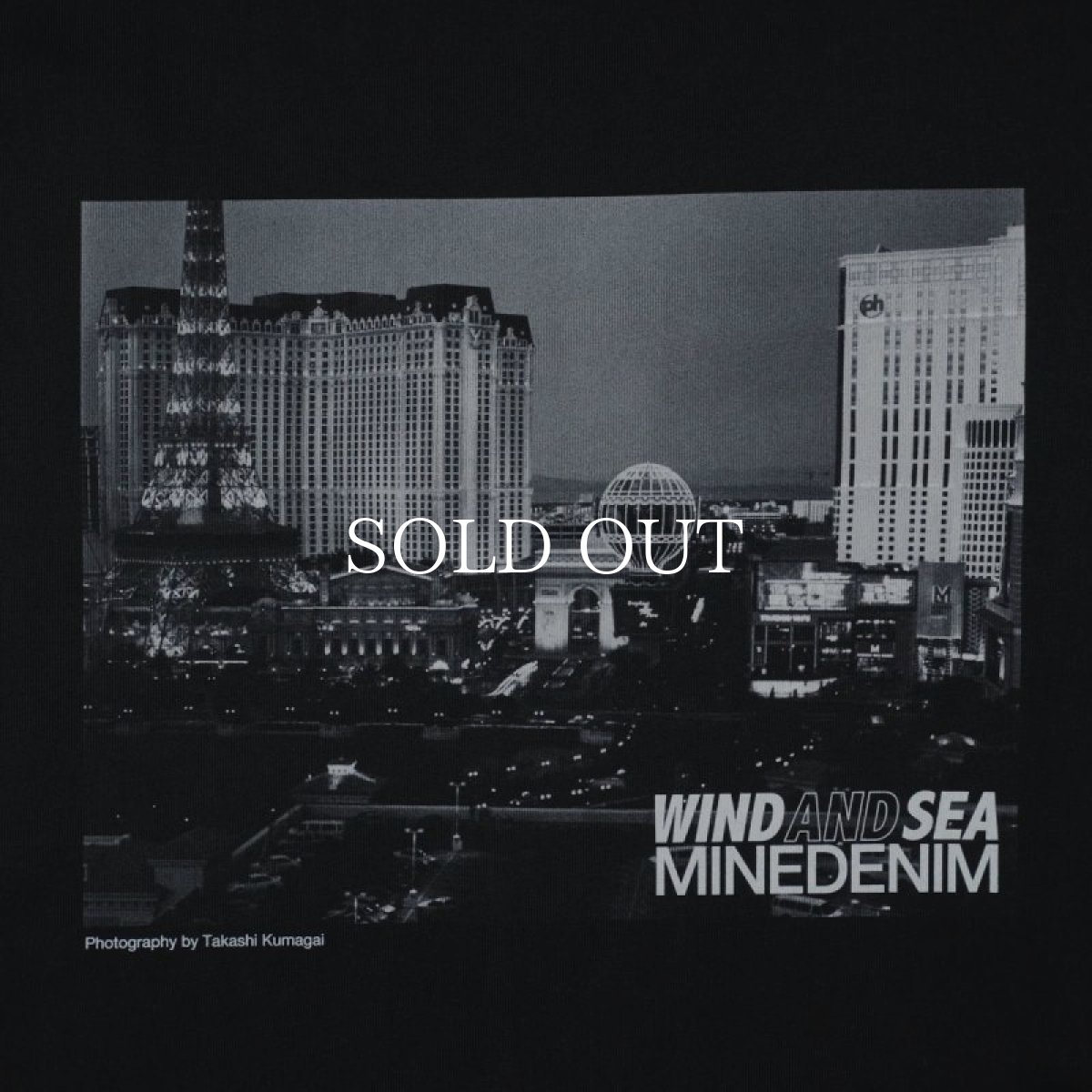 画像3: MINEDENIM  WDS X MINEDENIM PHOTO L/S TEE (3)