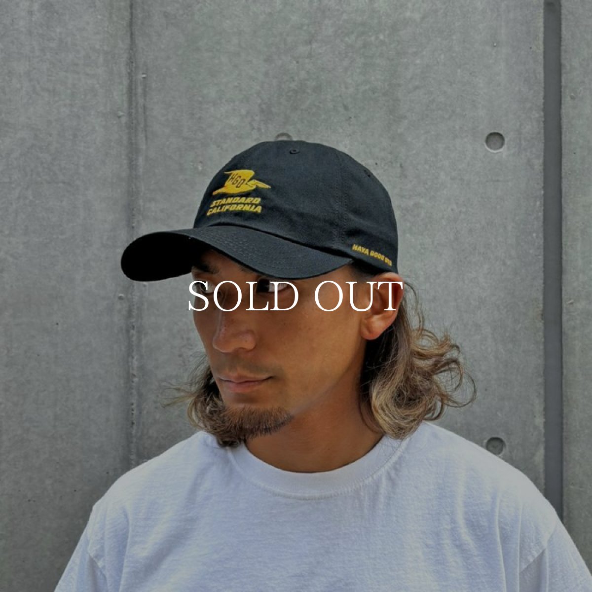 画像9: STANDARD CALIFORNIA  SD Hava Good One Twill Cap (9)