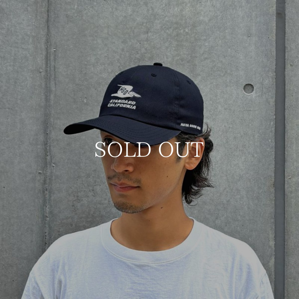 画像10: STANDARD CALIFORNIA  SD Hava Good One Twill Cap (10)