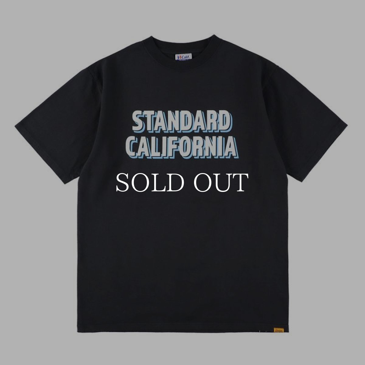 画像1: STANDARD CALIFORNIA  SD Heavyweight Sign Paint Logo T (1)