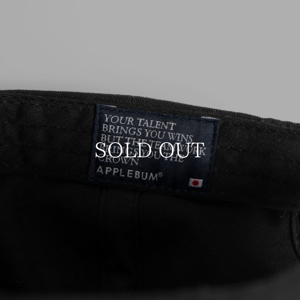 画像8: APPLEBUM  Logo Cap (8)