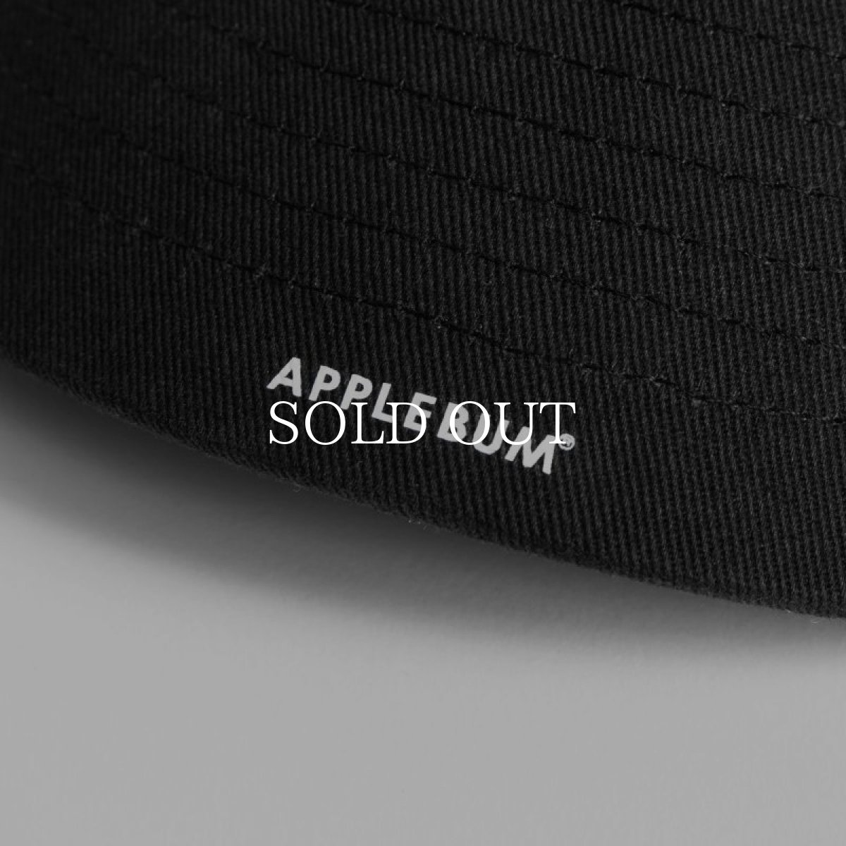 画像7: APPLEBUM  Logo Cap (7)