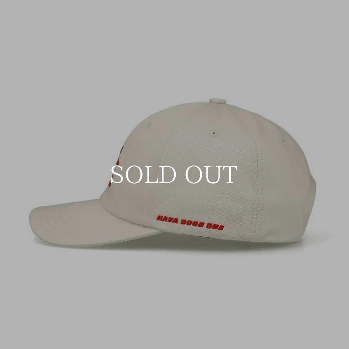 画像5: STANDARD CALIFORNIA  SD Hava Good One Twill Cap (5)