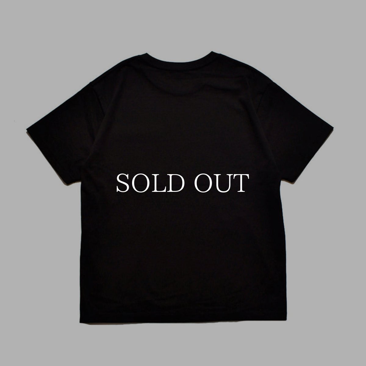 画像2: MINEDENIM  Standard Crewneck T-SH (2)