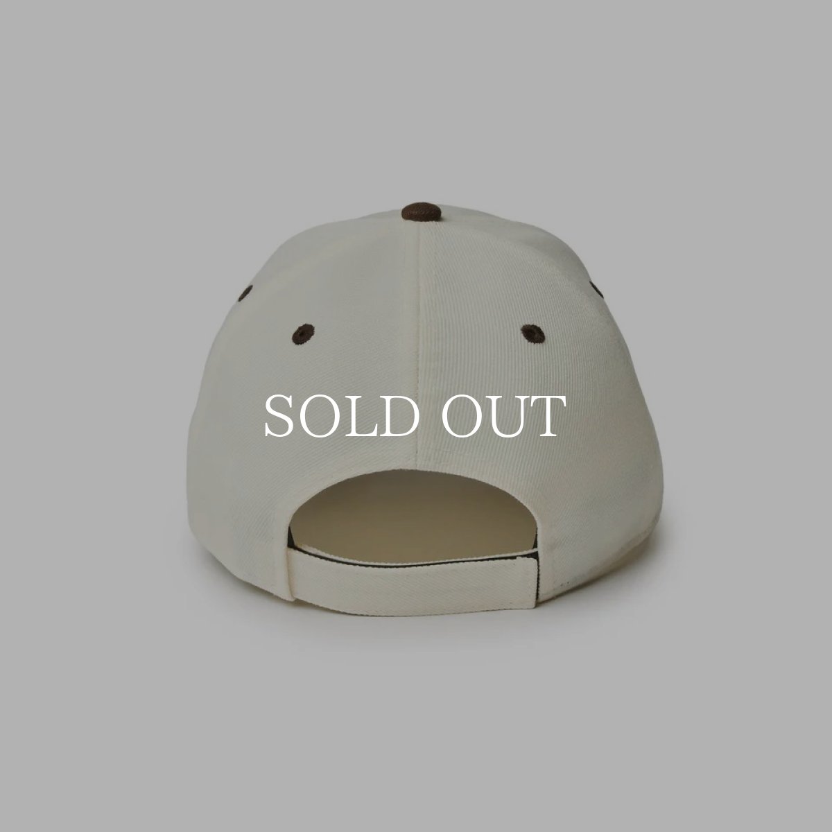 画像6: NEW ERA  9FORTY MLB Wool Visor ロサンゼルス・ドジャース クローム ブラウンバイザー (6)