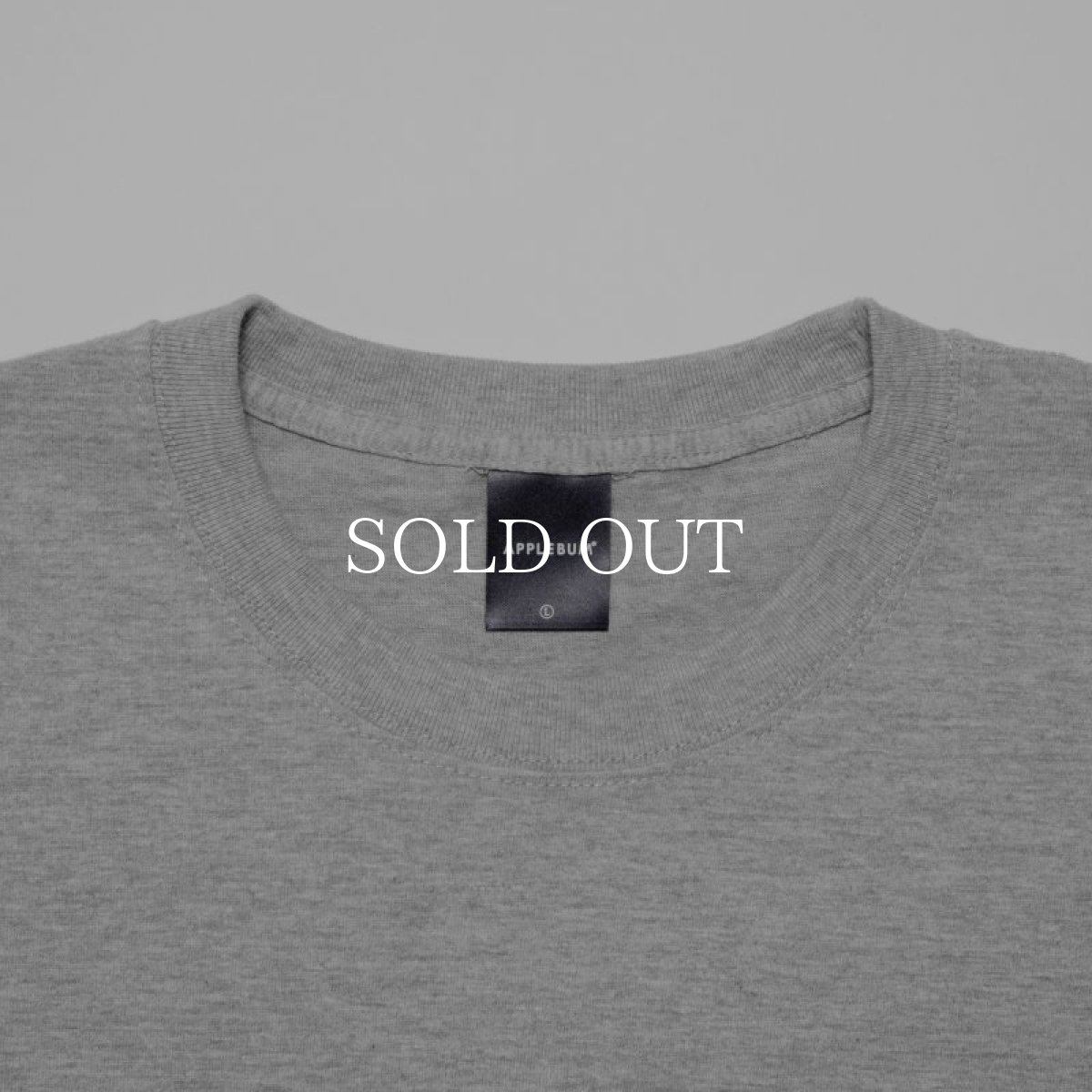 画像9: APPLEBUM  “PDG” T-shirt (9)